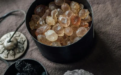 La Médecine Traditionnelle Chinoise : Un Voyage vers le Bien-Être