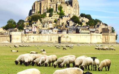 Découvrez Rennes et ses environs avec un chauffeur privé